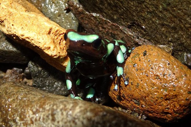 Bayano Canyoning From Panama City - Good To Know
