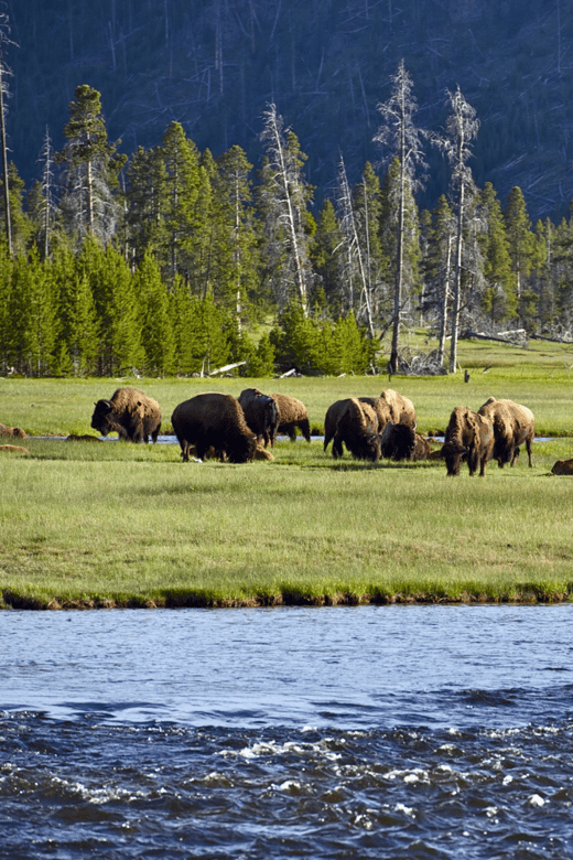 Beartooth Highway: Breathtaking Mountain Driving Tour - Key Points