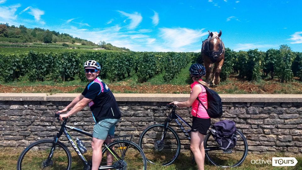 Beaune: Winery Tour by Bike With Wine Tasting - Key Points