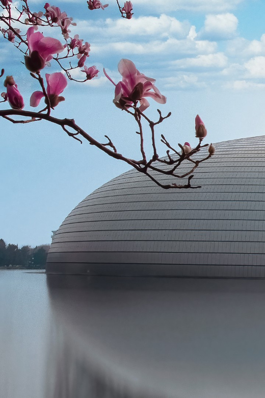 Beijing: Natinonal Center For The Peformance Arts Ticket - Ticket Pricing and Booking