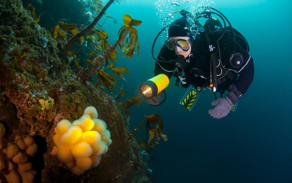 Bergen: Guided Scuba Diving - Good To Know