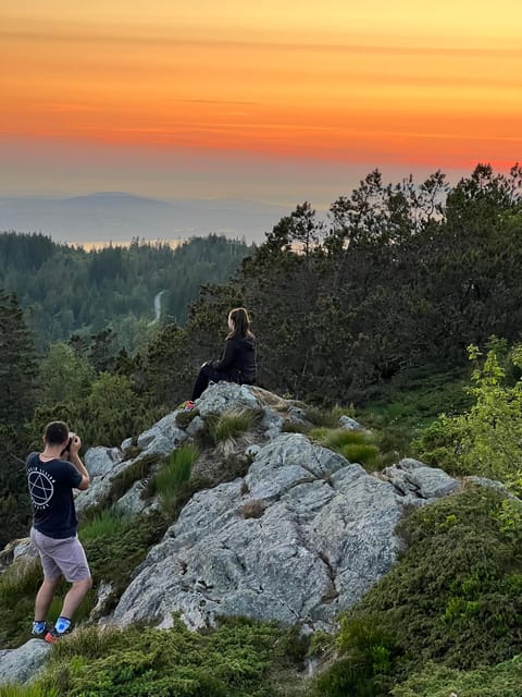 BERGEN I Fløyen Activo - Magical Nature - Hiking Tour - Guided Tour Features