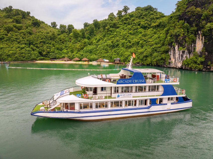 Best Halong 5-Star Day Cruise: Buffet Lunch, Wine & Jacuzzi - Key Points