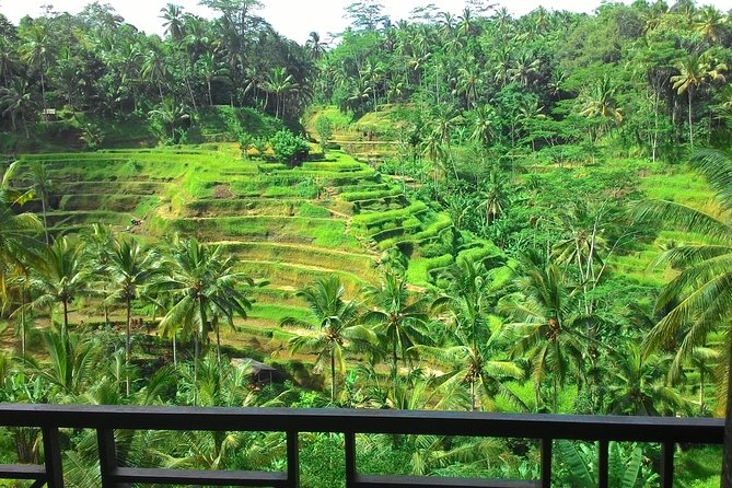 Best of Bali : Ubud, Rice Terrace, Tanah Lot Temple With Lunch - Itinerary and Activities