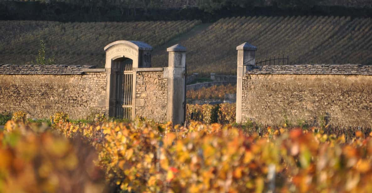 Best of Burgundy Private Tasting Tour - Premier & Grand Crus - Key Points