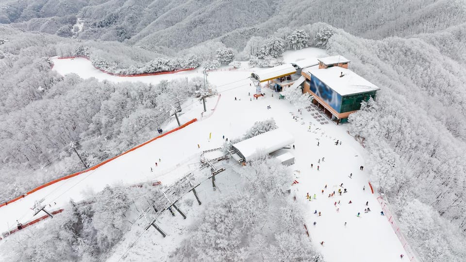 Beyond Seoul: Ski&Sled Adventure at Sono Belle Vivaldi Park - Key Points