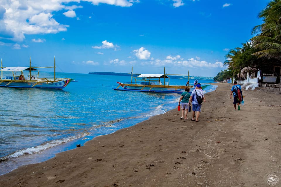 Bicol Philippines: Donsol Sorsogon Whale Shark Interaction - Key Points