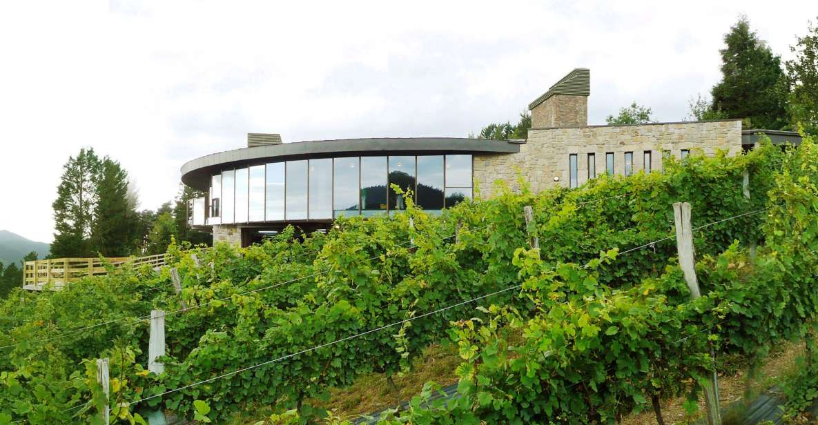 Bilbao: Organic Winery Visit With Tasting - Key Points