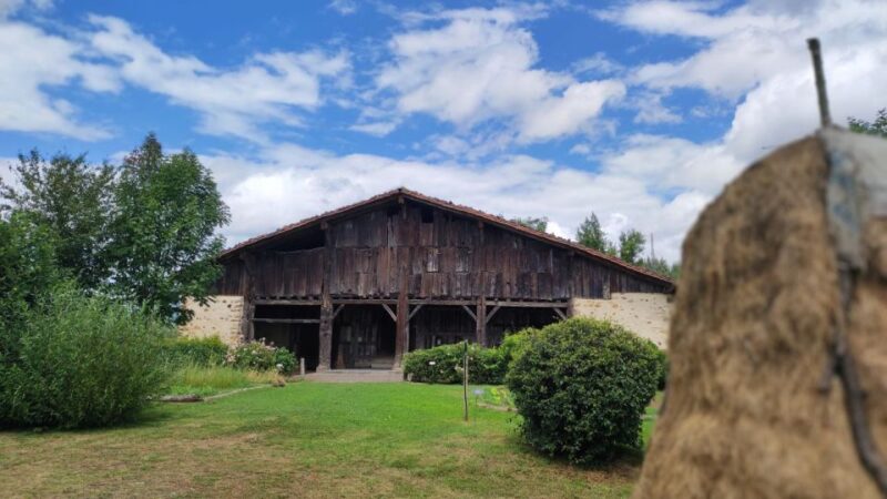 Bilbao: San Sebastian, Getaria, and Basque Farmhouse Tour - Key Points