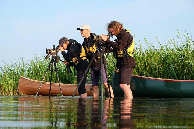 BIRDWATCH - Premium Guided Canoe Tour at Cape Vente, Nemunas Delta Regional Park - Good To Know