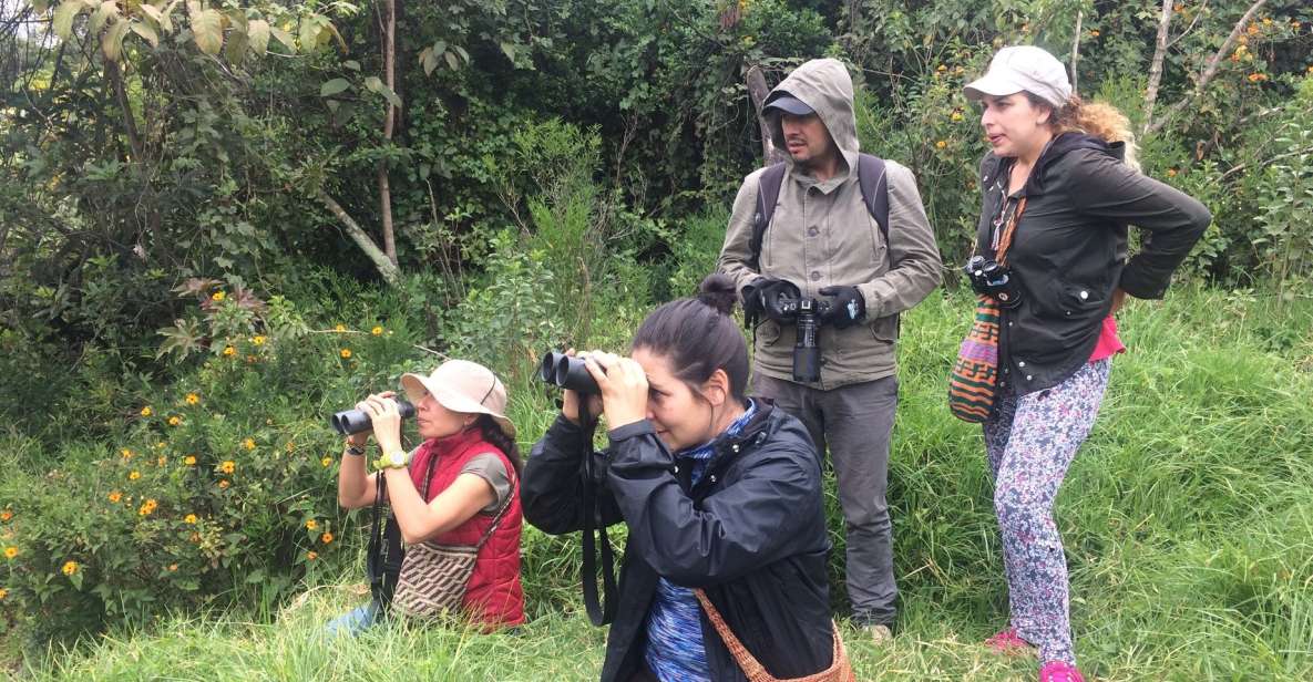 Birdwatching Day Tour at Chicaque Natural Park - Key Points