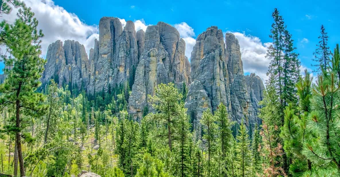 Black Hills to Mount Rushmore: Scenic Driving Tour - Key Points