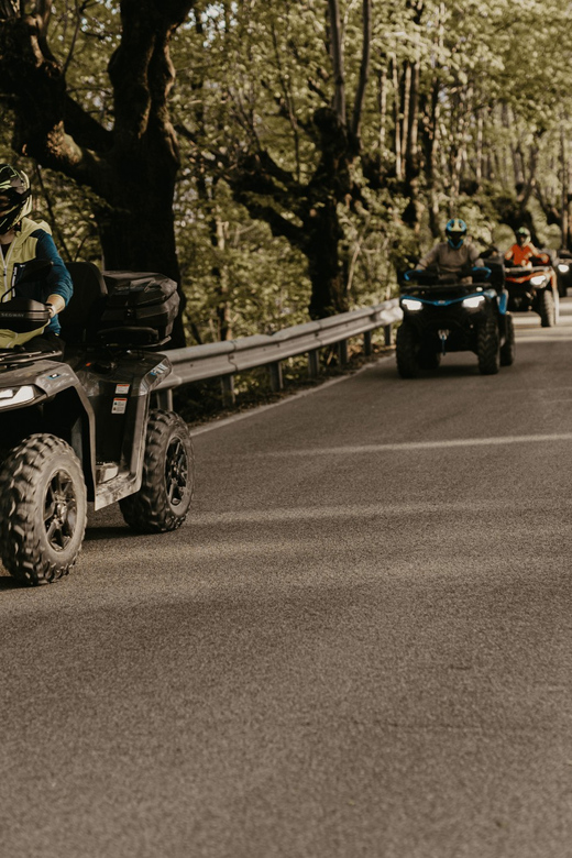Bled: Full-Day Quad Rental
