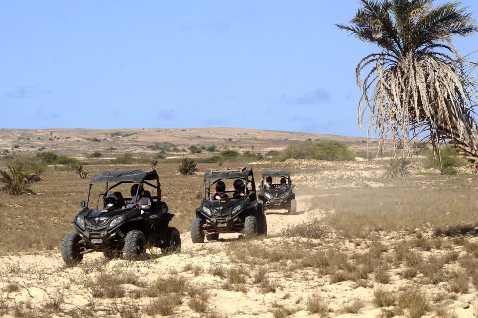 Boa Vista Island: Dunes, Desert & Sal Rei 4WD Buggy Adventure - Good To Know