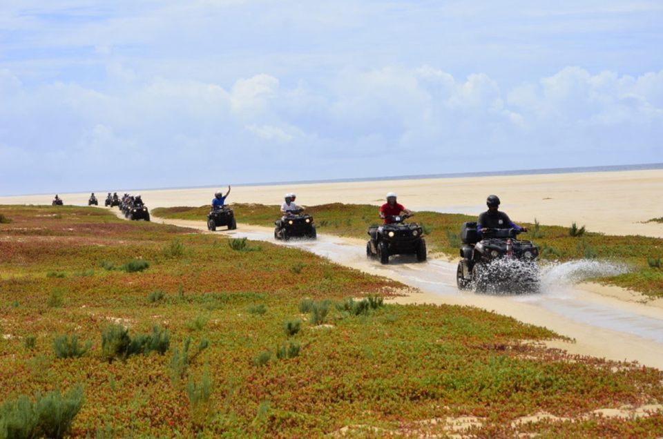 Boa Vista: Viana Desert Quad Bike Adventure - Good To Know