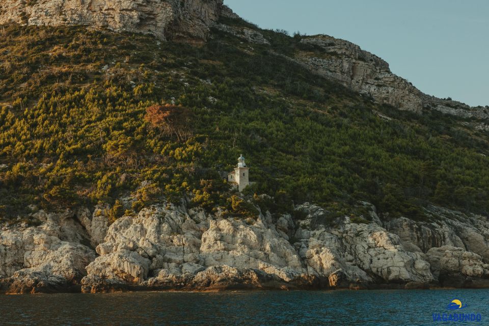 Boat Tour From Ston to Mljet National Park - Good To Know