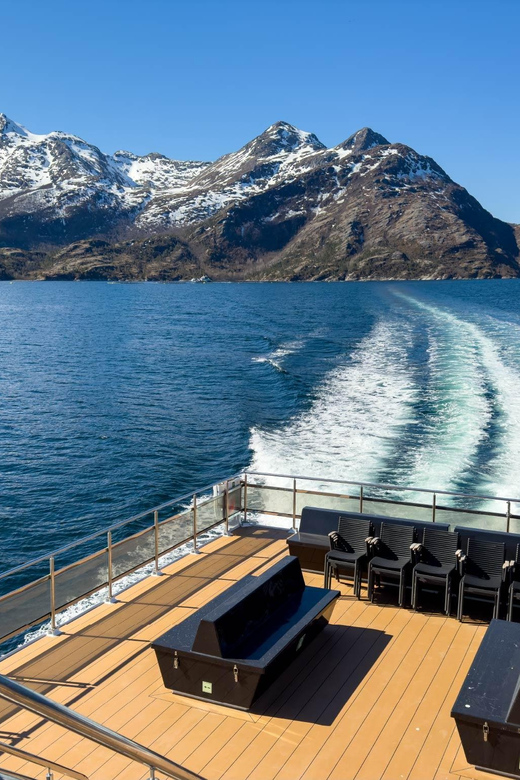 Bodø: Silent Winter Fjord Cruise - Good To Know