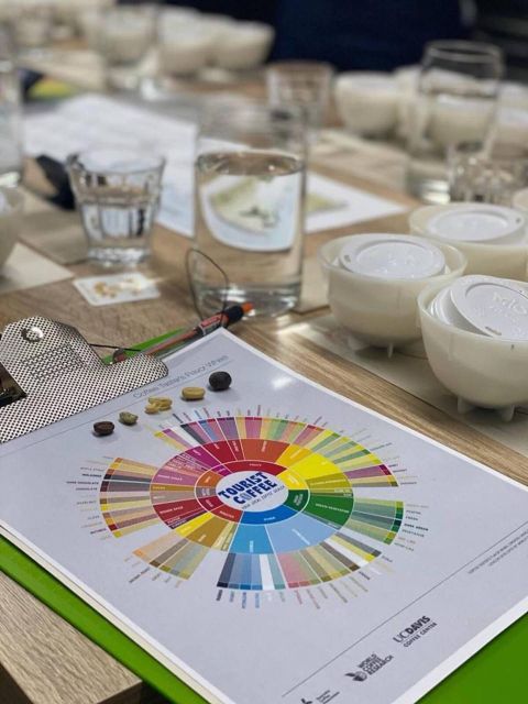 Bogota: Expert Curated Colombian Coffee Cup Tasting Workshop - Key Points