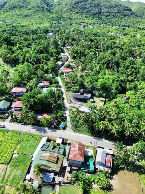 Bohol: Choco Tour With Loboc River Lunch Buffet (Private) - Key Points