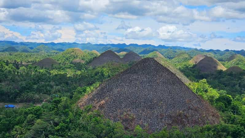 Bohol: From Snorkeling With Whale Sharks to Chocolate Hills. - Key Points