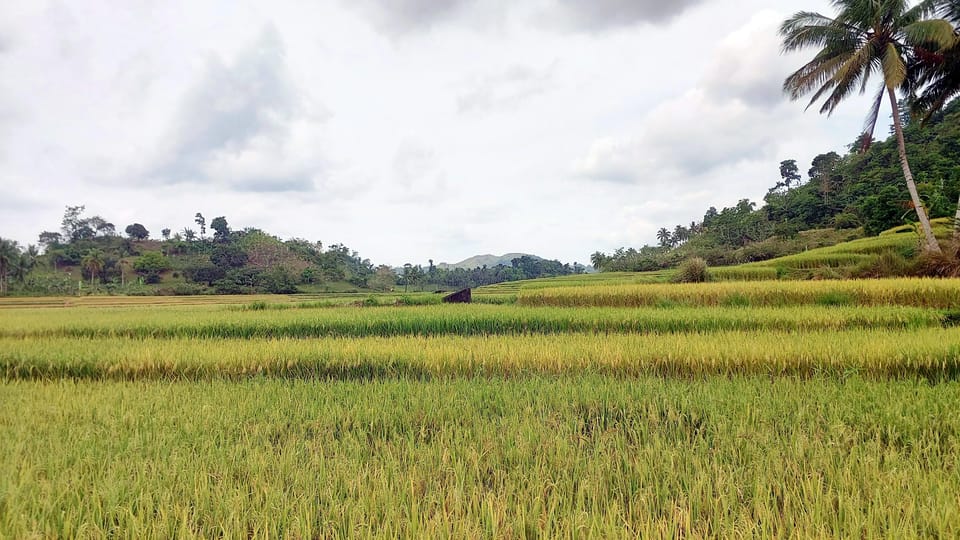 Bohol: Picnic at Kanumantad Waterfall. - Key Points