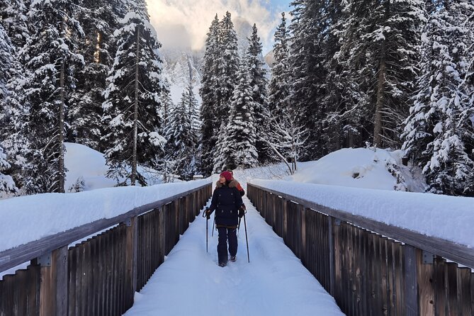 Bolzano Dolomites: Winter Hiking & Sledding Experience - Good To Know