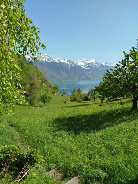 Bönigen: Lakeside Trail and Giessbach Waterfalls Hike - Good To Know