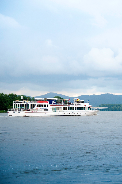 Bonn: Evening Sightseeing Cruise on the Rhine River - Key Points