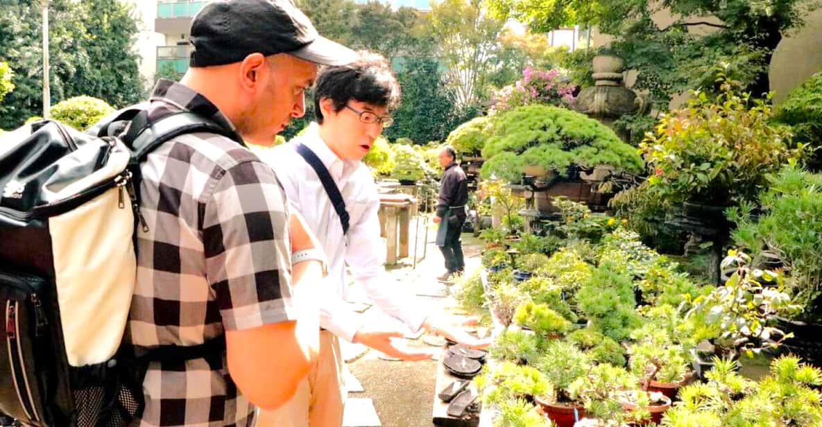 Bonsai City: Bonsai Tour & Experience at Bonsai Sanctuary - History of Bonsai Art