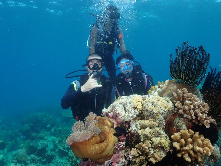 Boracay: Introduction to Scuba Diving Experience - Key Points