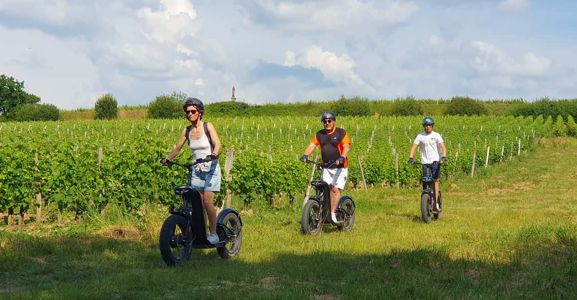 Bordeaux: Trot Circuit + Wine Tasting of La Louvière Castle - Key Points