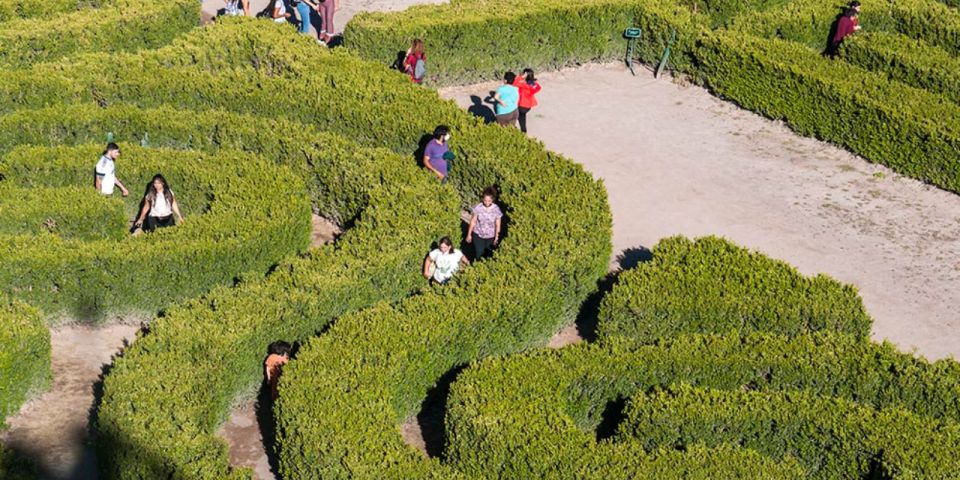 Borges Labyrinth and Winery: Lunch and Literary Workshop - Key Points