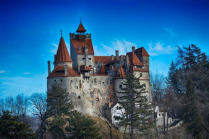 Bran Castle - Trip From Brasov - Good To Know