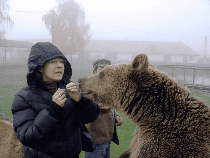 Brasov: Libearty Bear Sanctuary