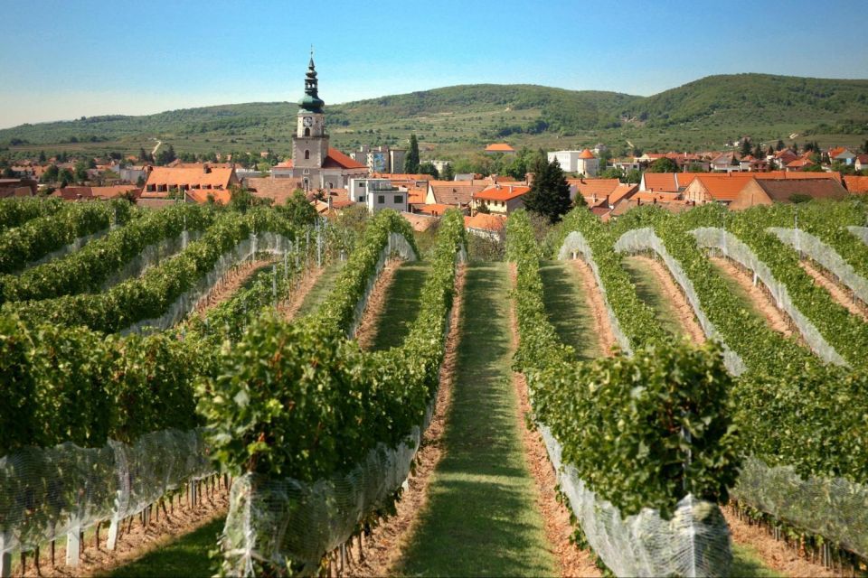 Bratislava: 6-Hour Carpathian Wine Tour and Tasting - Good To Know