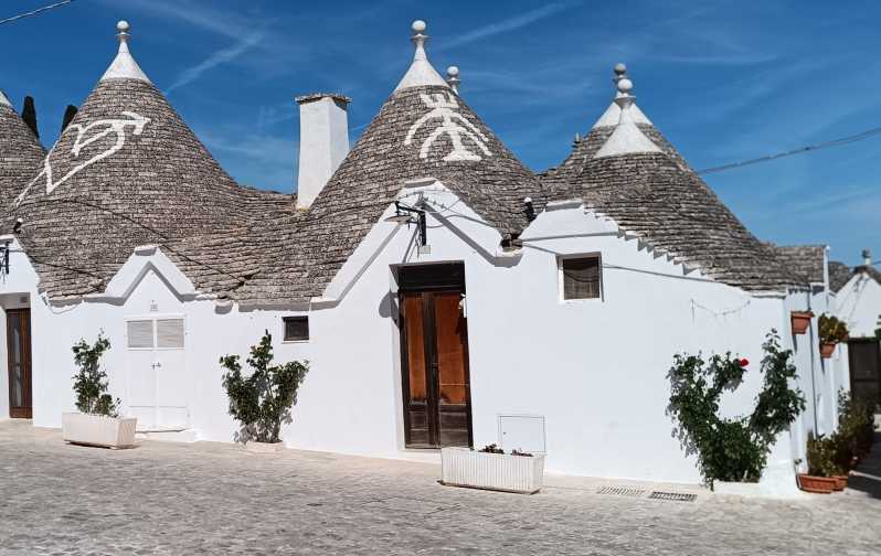 Brindisi: Alberobello, Ostuni Tour for Cruise Ship - Key Points