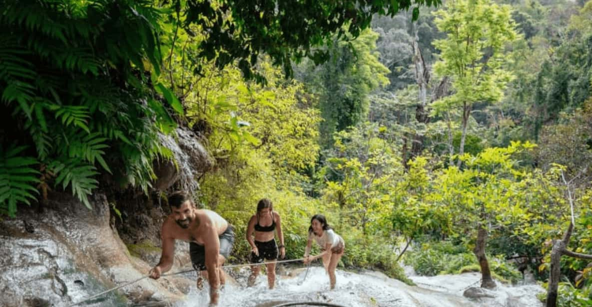 Bua Thong Sticky Waterfalls Fun Half Day Private Tour - Key Points