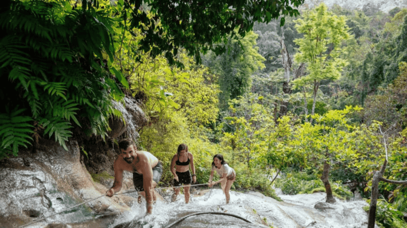 Bua Thong Sticky Waterfalls Fun Half Day Private Tour - Activity Highlights