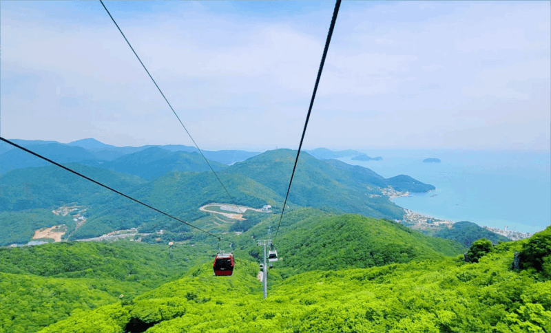 Busan: A1.Hidden Gem Geoje & Oedo Botania Island& Cable Car - Key Points