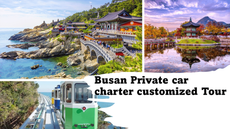 Busan City Private Chartered Car Tour