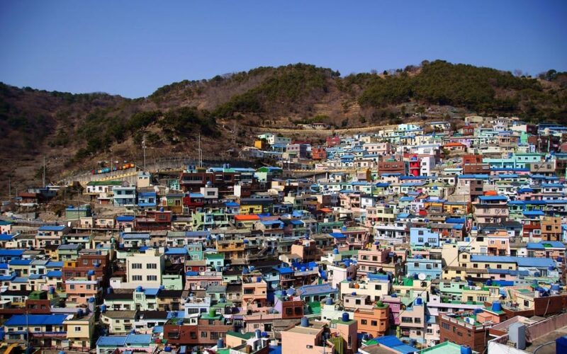 Busan Full-Day Private Tour With Daily Chauffeur - Key Points