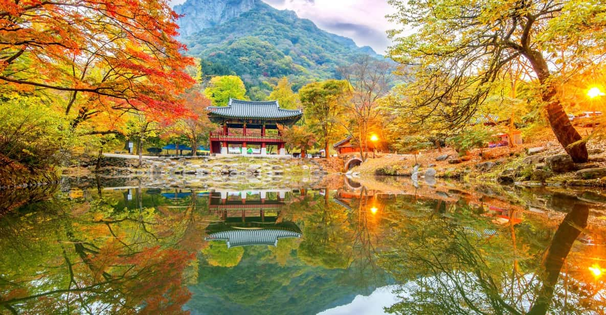 Busan: Naejangsan National Park Autumn Foliage One Day Tour - Key Points