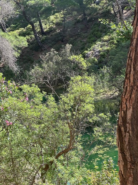 BUTTERFLY VALLEY - Key Points