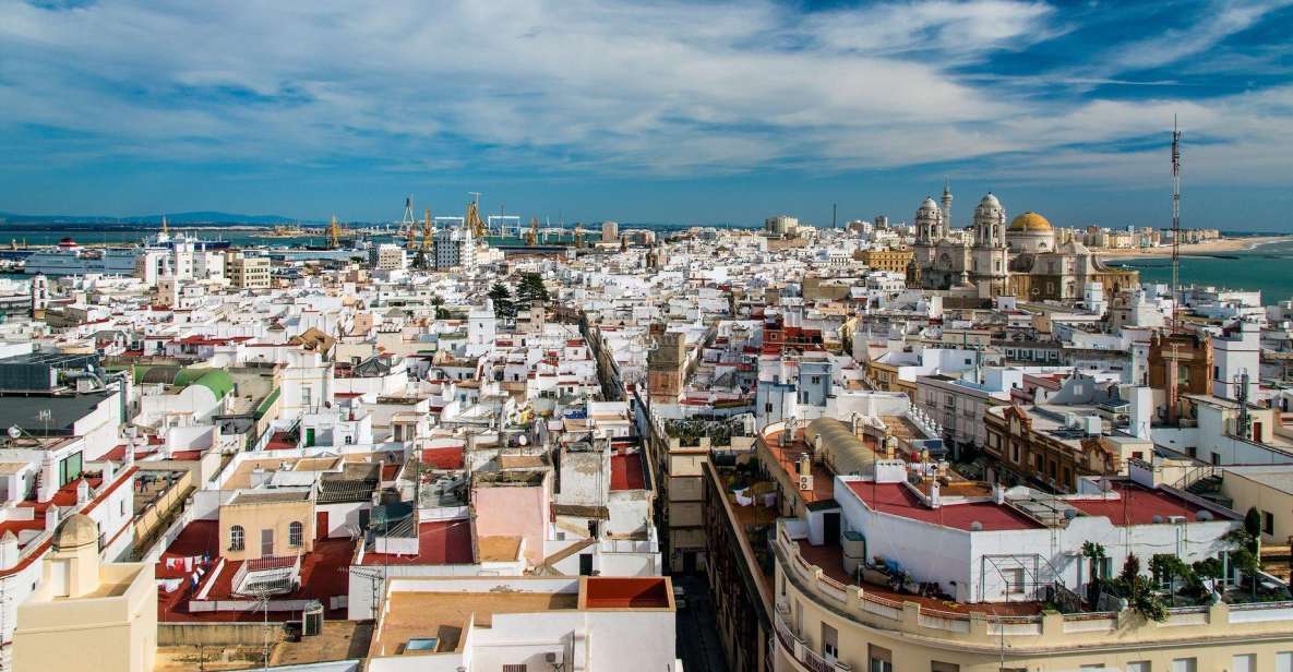 Cádiz: Roman Theatre, Cathedral, and Tavira Tower Tour - Key Points