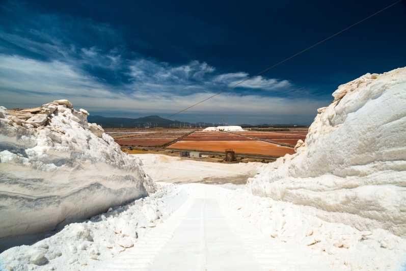 Cagliari: Conti Vecchi Salt Flats Train and Tour - Key Points