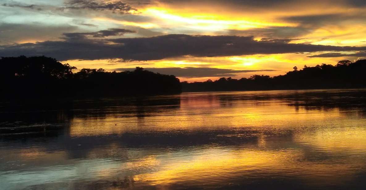 Caimans and Capybaras Search on the Tambopata River - Key Points