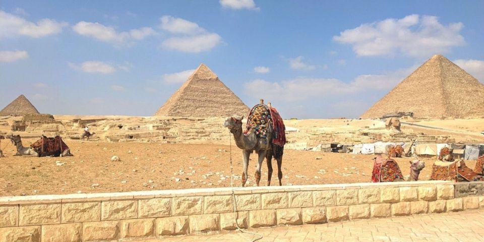 Cairo: Giza Pyramids, Egyptian Museum Day-Trip, Camel, Lunch - Good To Know