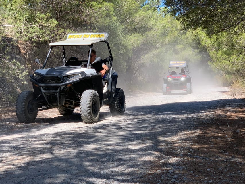 Cala Ratjada: Exclusive Buggy Tour Also for Families - Key Points