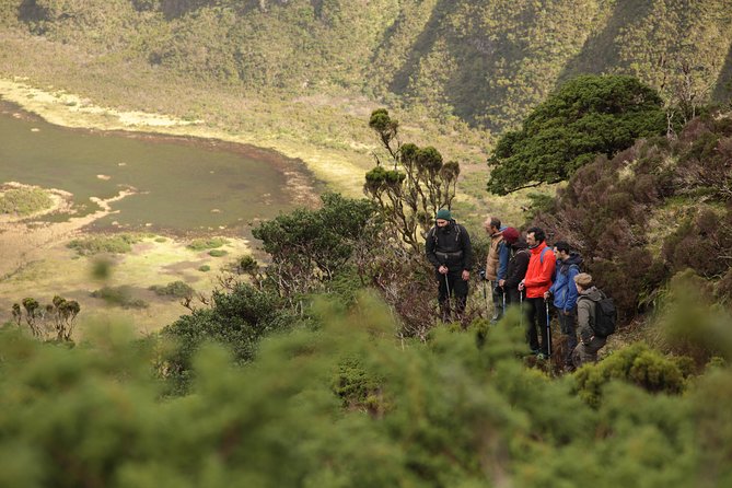 Caldeira Do Faial Descent - Private Hiking Tour - Good To Know