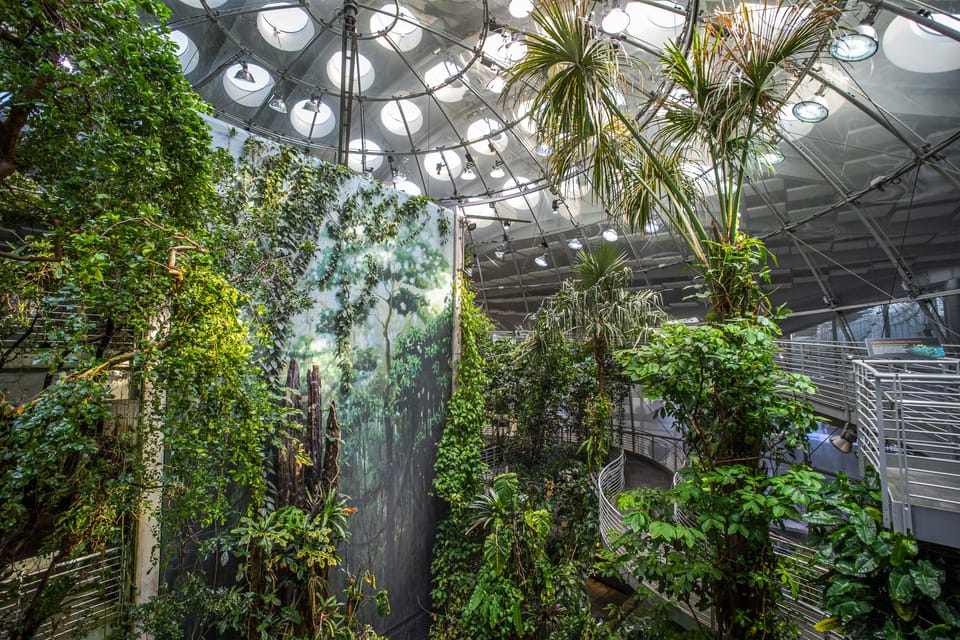 California Academy of Sciences With Golden Gate Park Tour - Key Points